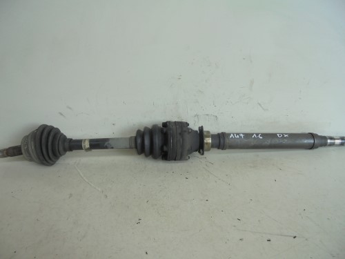 Semialbero ant. compl.  dx. 