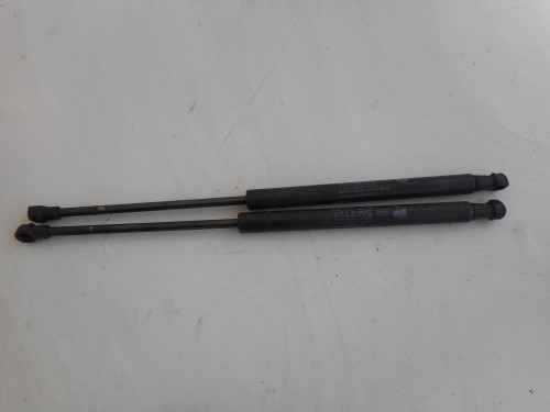 Asta ammortizzante cofano ant. sx.