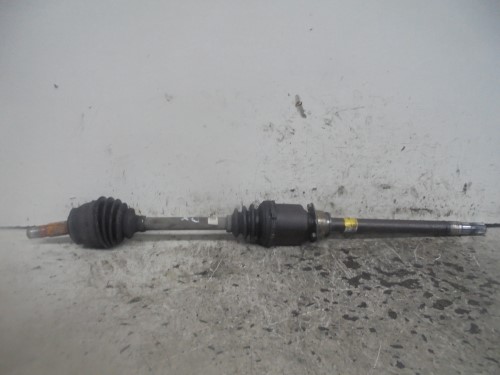 Semialbero ant. compl.  dx. 