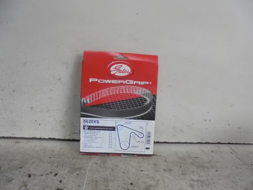 Cinghia distribuzione controalbero 