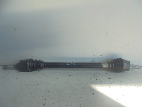 Semialbero ant. compl.  dx. 