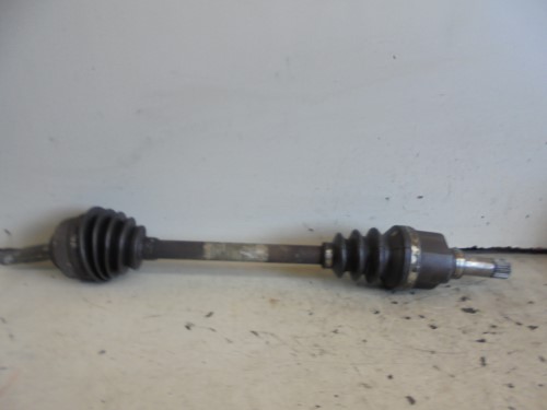 Semialbero ant. compl. sx. Semialbero ant. compl. sx.