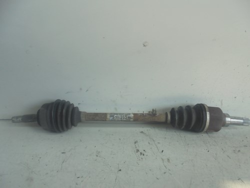 Semialbero ant. compl. sx. Semialbero ant. compl. sx.