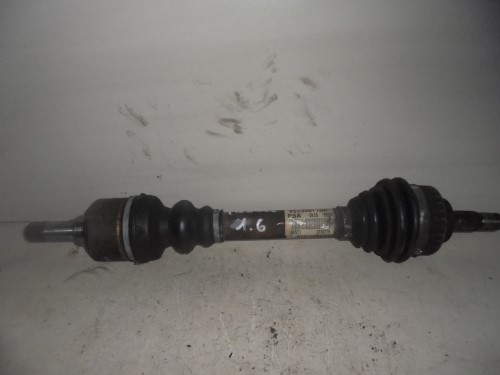 Semialbero ant. compl. sx. Semialbero ant. compl. sx.