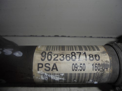 Semialbero ant. compl. sx. Semialbero ant. compl. sx.