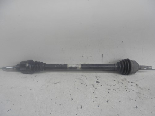 Semialbero ant. compl.  dx. 