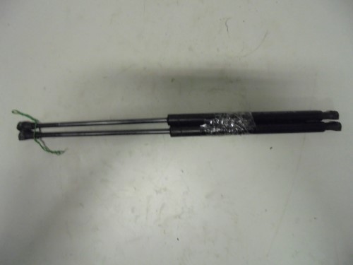 Asta ammortizzante cofano ant.