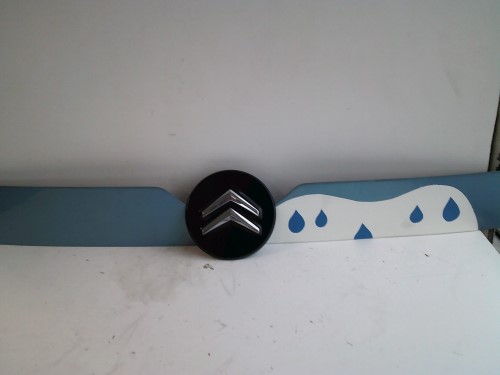 Modanatura centr. portello post. 