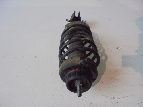 Ammortizzatore ant. sx.