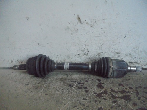 Semialbero ant. compl.  dx. 