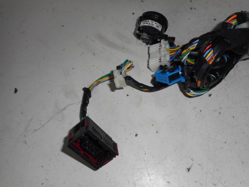 Cablaggio compl. dx. 