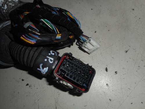 Cablaggio compl. dx. 