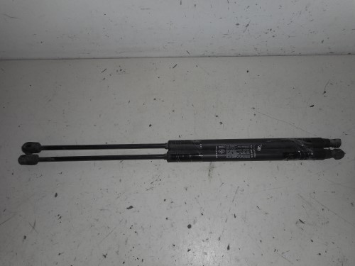 Asta ammortizzante portello post. sx.