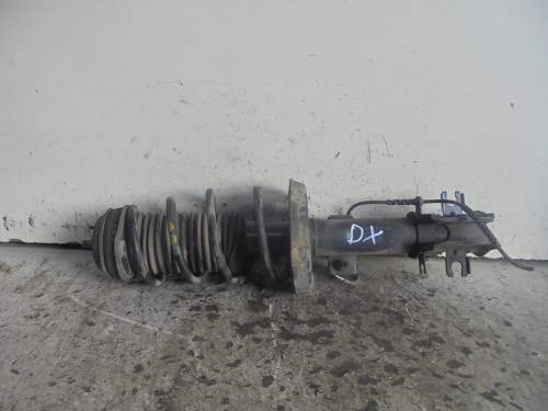 Ammortizzatore ant. dx. 
