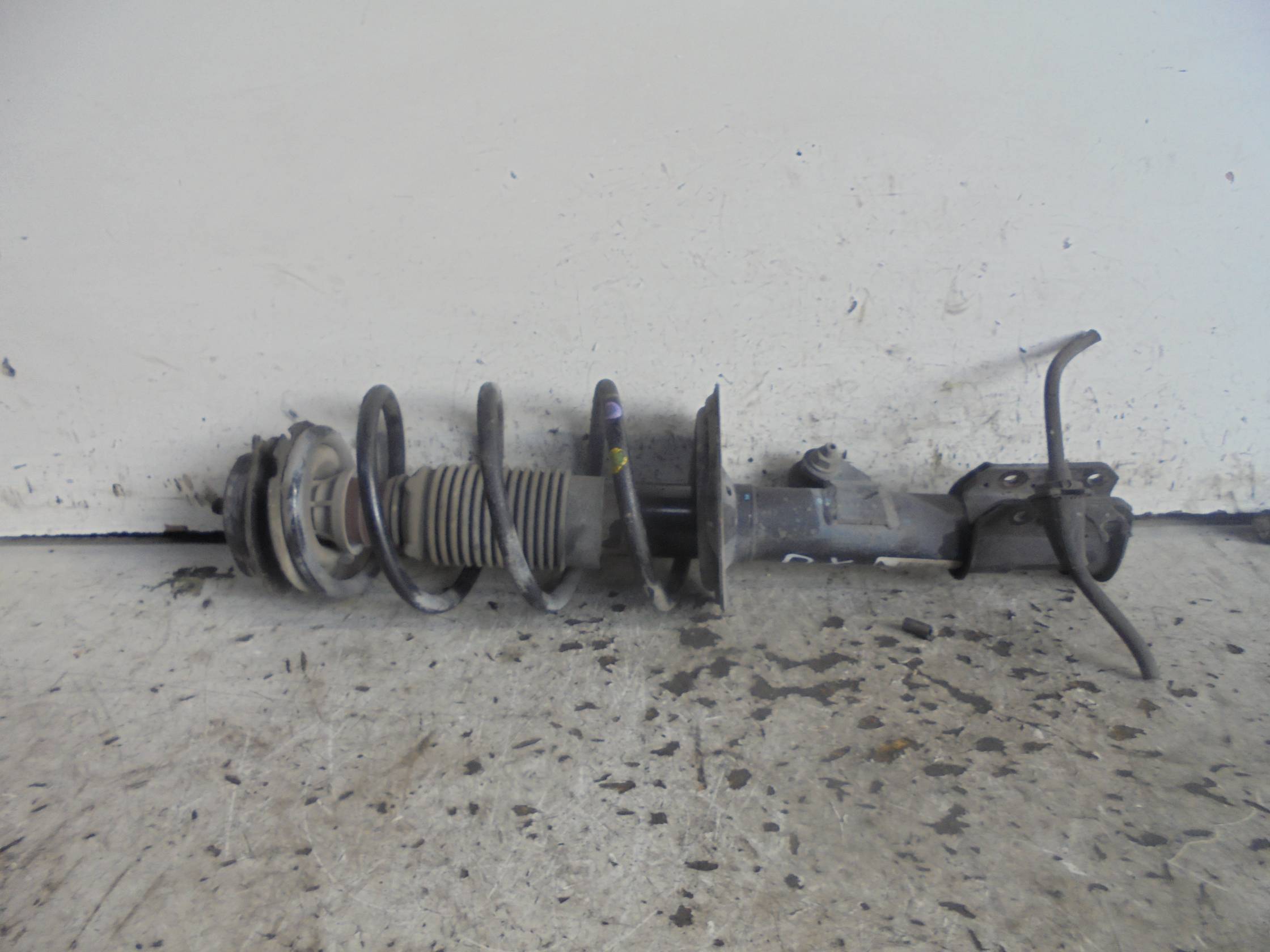 Ammortizzatore ant. dx. 