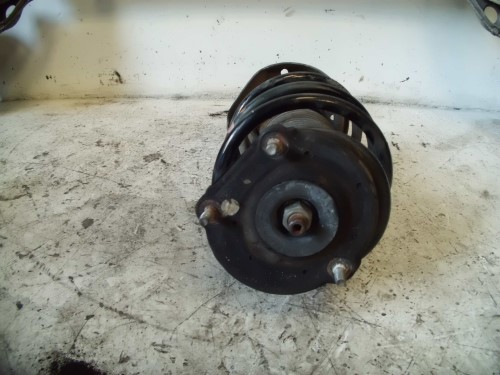 Ammortizzatore ant. sx.