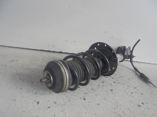 Ammortizzatore ant. sx.