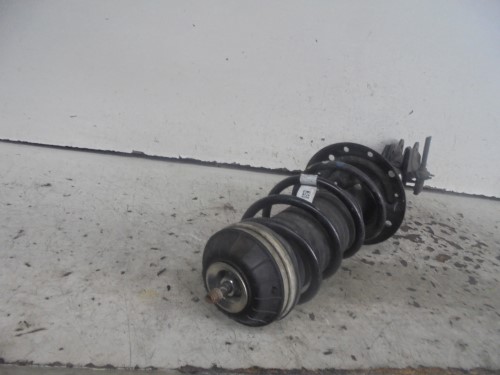 Ammortizzatore ant. sx.