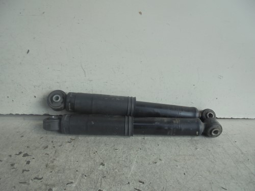 Ammortizzatore post. 