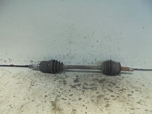 Semialbero ant.  sx.