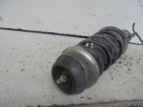 Ammortizzatore ant. sx.