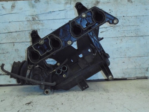 Collettore aspirazione 