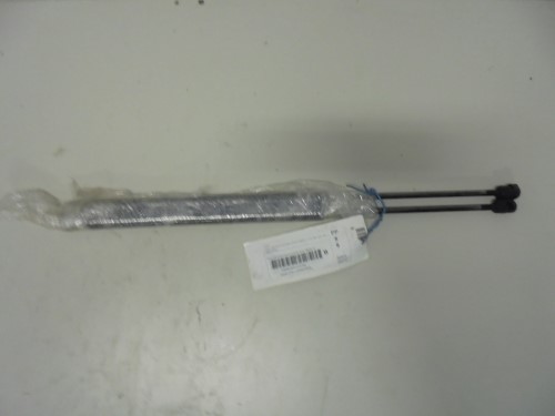 Asta ammortizzante cofano post. sx.