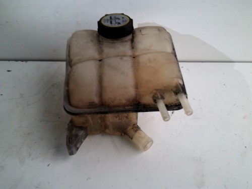 Vaschetta compensazione radiatore 