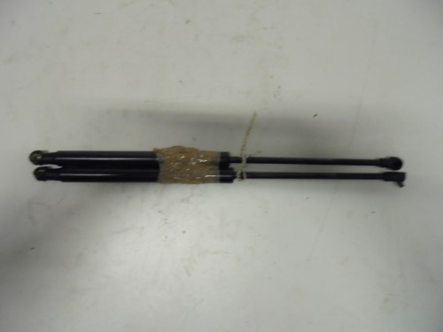 Asta ammortizzante portello post.  sx.