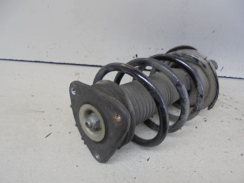 Ammortizzatore ant. sx.