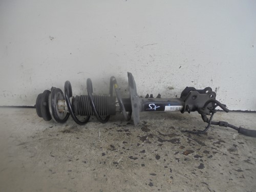 Ammortizzatore ant. sx.