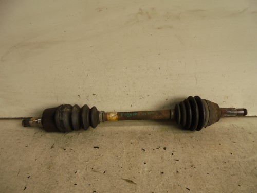 Semialbero ant. compl. sx. Semialbero ant. compl. sx.