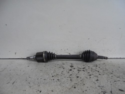 Semialbero ant. compl. sx. Semialbero ant. compl. sx.