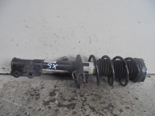 Ammortizzatore ant. sx.