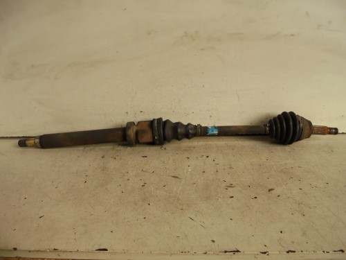 Semialbero ant. compl.  dx. 