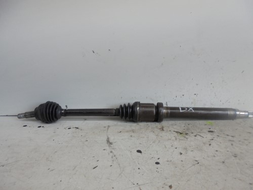 Semialbero ant. compl. dx. Semialbero ant. compl. dx.