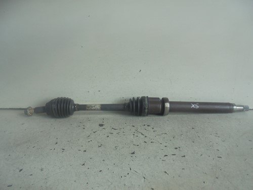 Semialbero ant. compl.  dx. 