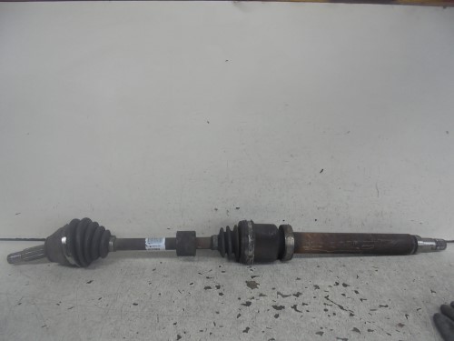 Semialbero ant. compl. dx. Semialbero ant. compl. dx.