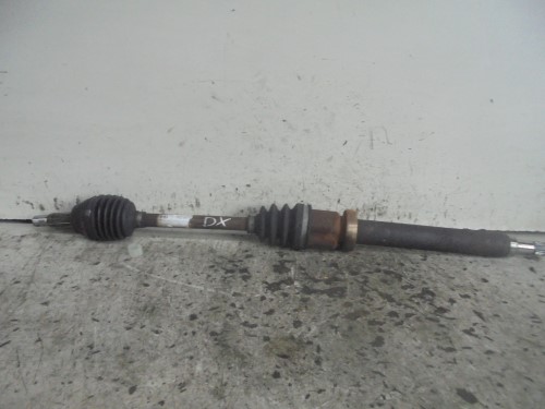 Semialbero ant. compl. dx. Semialbero ant. compl. dx.