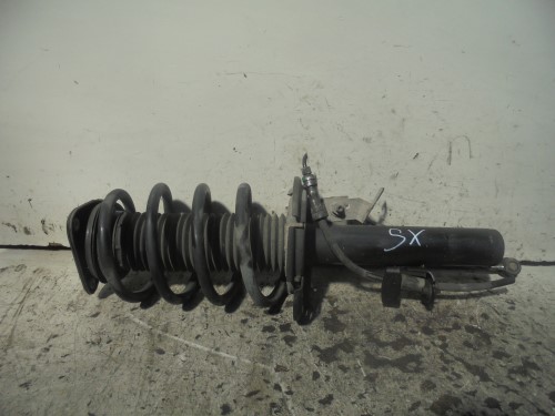Ammortizzatore ant. sx.
