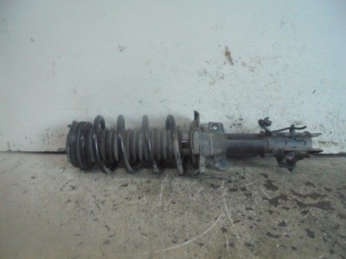 Ammortizzatore ant. sx.