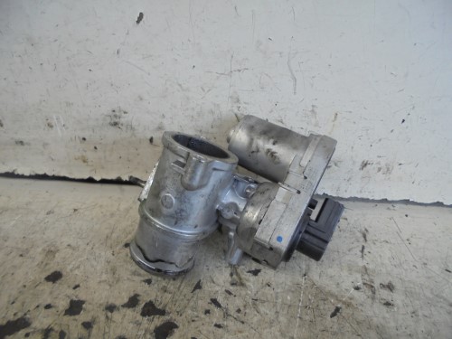 Corpo farfallato Corpo farfallato