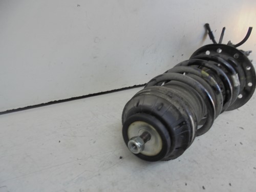 Ammortizzatore ant. dx. 