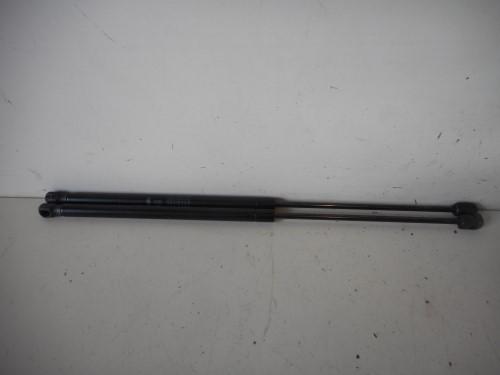 Asta ammortizzante portello post. sx.