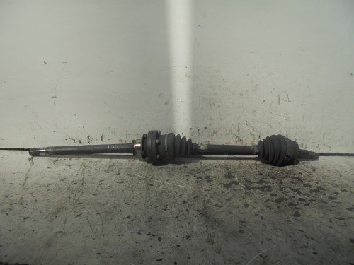 Semialbero ant. compl. sx. Semialbero ant. compl. sx.