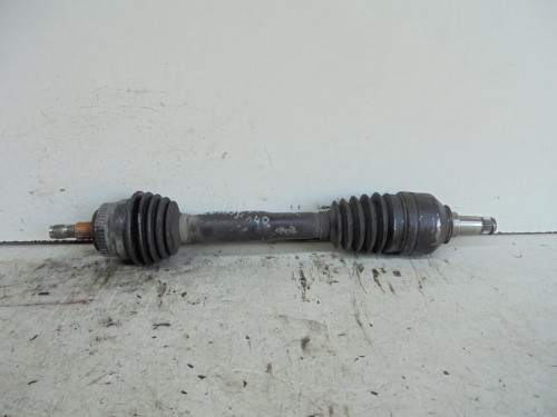 Semialbero ant. compl. sx. Semialbero ant. compl. sx.