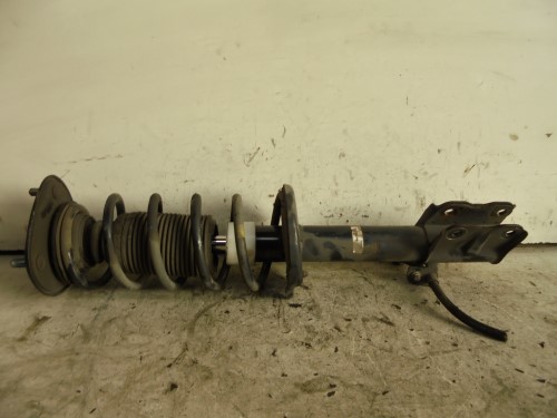 Ammortizzatore ant. sx.