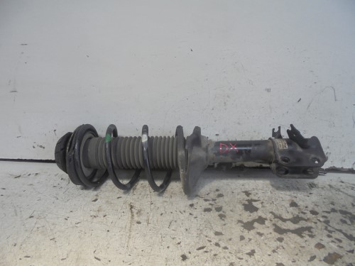 Ammortizzatore ant.  dx. 