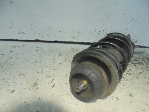 Ammortizzatore ant. sx.