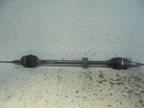 Semialbero ant. compl.  dx. 